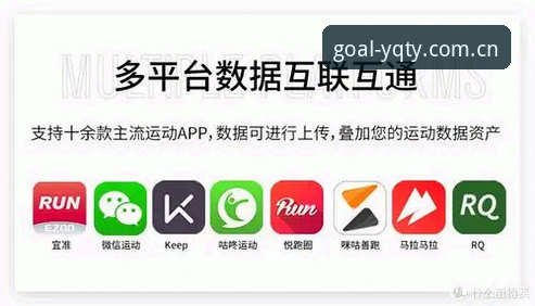 有球体育版本选择深度分析：从功能差异到用户体验全面解读